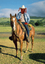 Ant rides on Stallion 
#1.