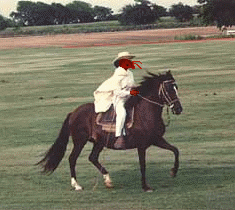 Ant rides on Stallion #2.