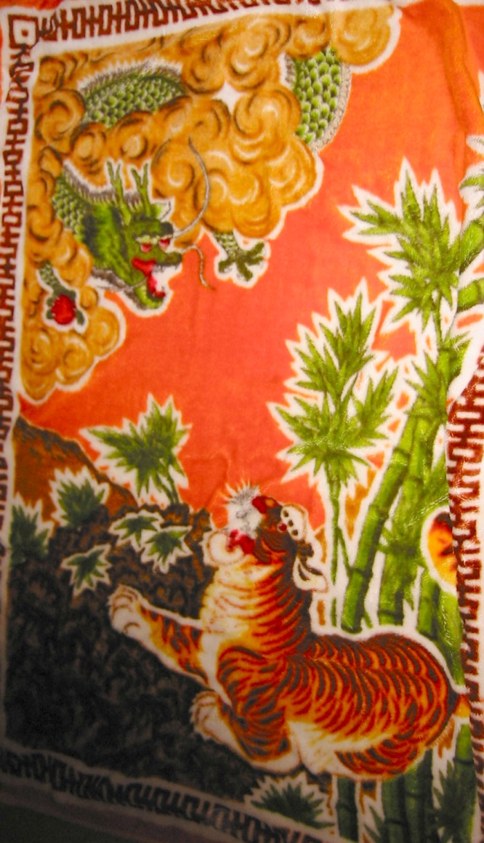 A photo(graph) of Ant's favorite warm, furry blanket.