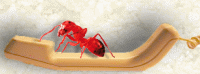 An ant talks on a phone.